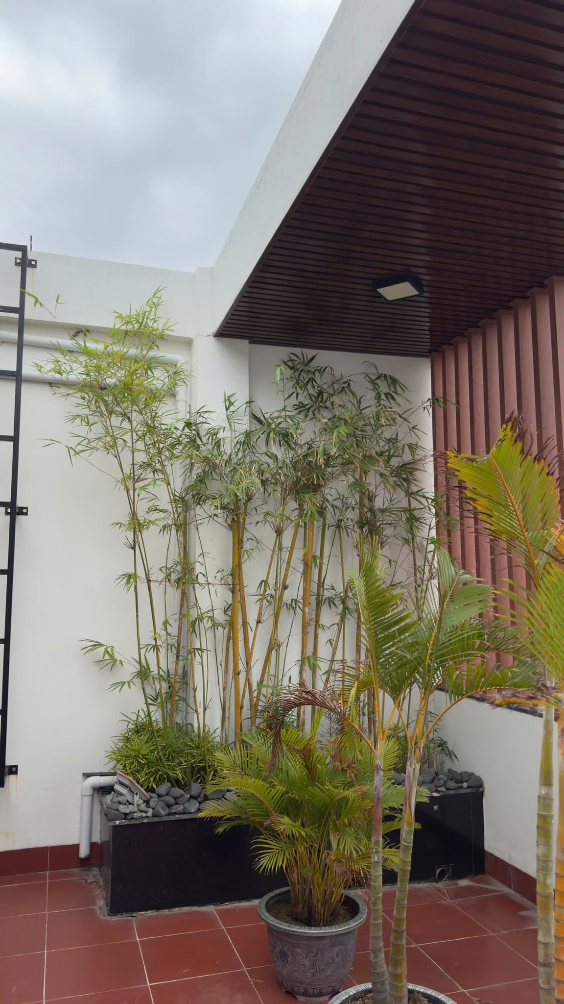 Fully Equipped 4-Storey Shophouse for Rent at Dai Phu Gia Urban Area