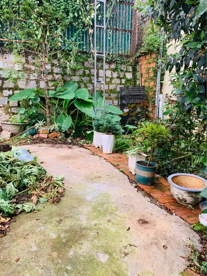 Fully Furnished Room with Private Balcony near Hoa Binh Market