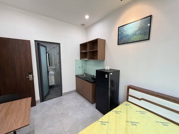 Fully Furnished Studio Apartment P402 near Dragon Bridge, Son Tra