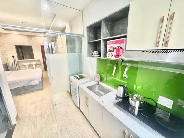 Fully Furnished Studio P301 with Dragon Bridge View on Ha Thi Than