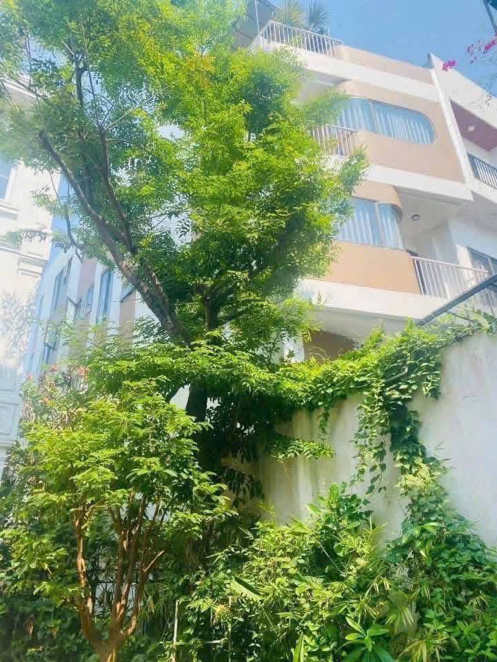 Brand-New 32 sqm Apartment P303 with Balcony near Ong Ich Khiem and Tran Cao Van
