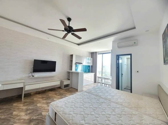 Fully Furnished Studio Apartment on Pham Khiem Ich