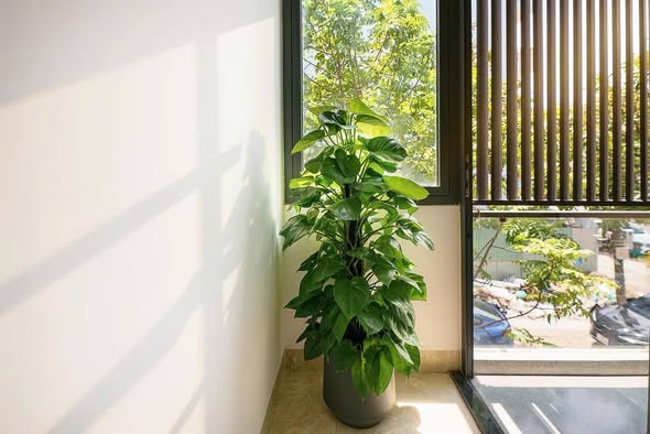 Modern 1 Bedroom Apartment in An Trung 3