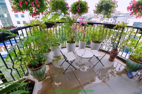 Spacious 3-Bedroom Apartment in Hoan Kiem