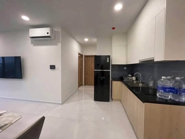 The Maison Thu Dau Mot Rental