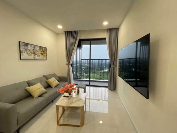 The Maison Thu Dau Mot Rental
