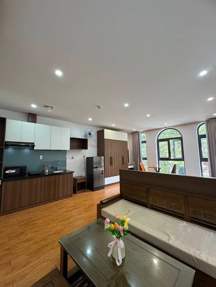 Fully Furnished Apartment near the Beach on Le Van Huu Street