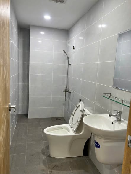Brand-New One-Bedroom Apartment at C2 Phu My Genimex