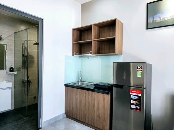 Fully Furnished Studio Apartment near Dragon Bridge in Son Tra