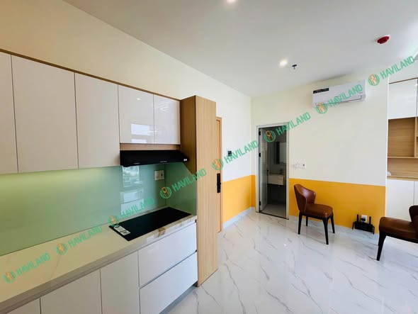 Brand-New Fully Furnished 1-Bedroom Apartment on Truong Dinh Street