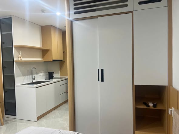 Fully Furnished Studio with Dragon Bridge View at Sun - Panoma 1